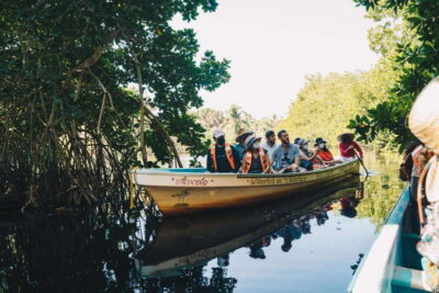 Puerto Escondido: Oaxaca Coast Wildlife Ecotour