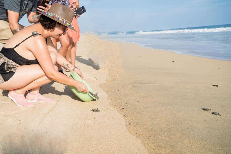 Puerto Escondido: Turtle Release Experience - The coconut shell release: your hands-on moment
