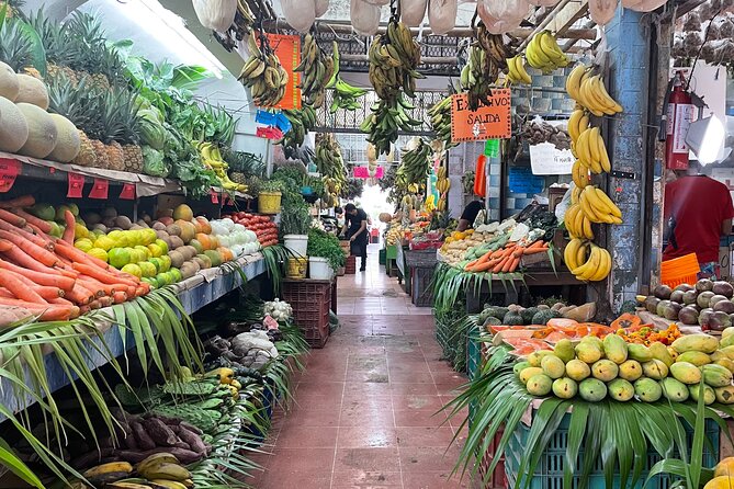 Puerto Morelos Foodie Tour, Mexico in every bite! - What to Expect From the Walking Experience