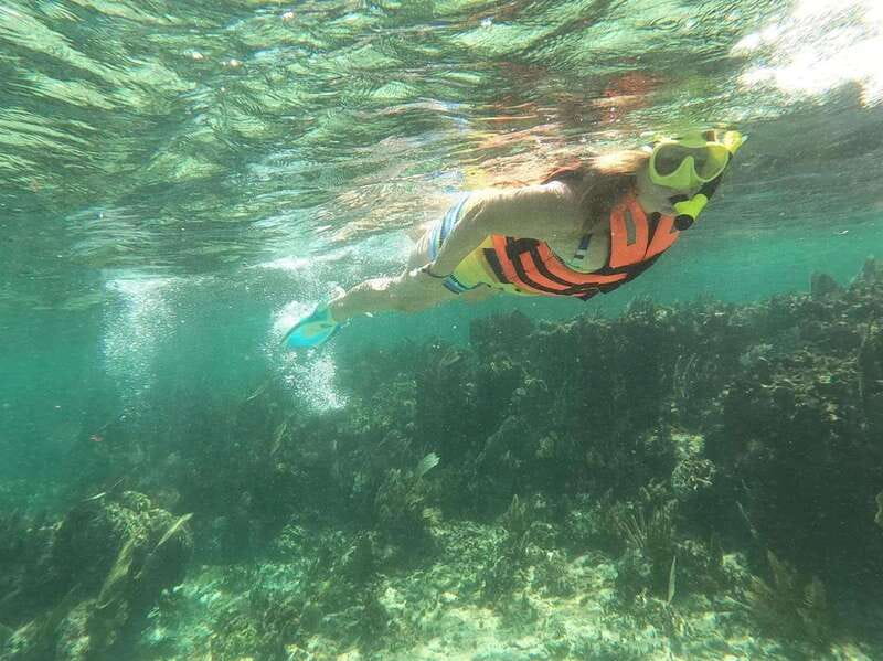 Puerto Morelos: Guided Snorkeling Tour with Gear & Fees - Quick hits: what makes this Puerto Morelos snorkeling tour special