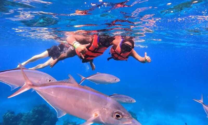 Puerto Morelos: Guided Snorkeling Tour with Gear & Fees - Gear tips and reef etiquette rules you should plan around