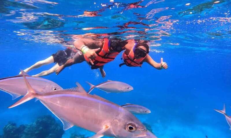 Puerto Morelos: Guided Snorkeling Tour with Gear & Fees - Safety briefing first, then a reef plan you can actually follow