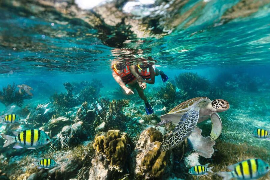 Puerto Morelos: National Reef Park Snorkeling & Beach Lunch - The Reef Session: Gear, Safety Gear, and What You’ll Likely See