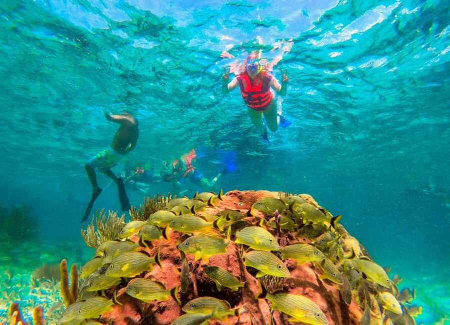 Puerto Morelos: National Reef Park Snorkeling & Beach Lunch - Guide Quality Makes a Difference: What People Raved About