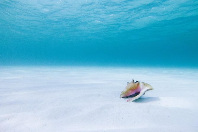Puerto Morelos Secret Sandbar Catamaran Sail - Pickup, timing, and how to make the day smoother