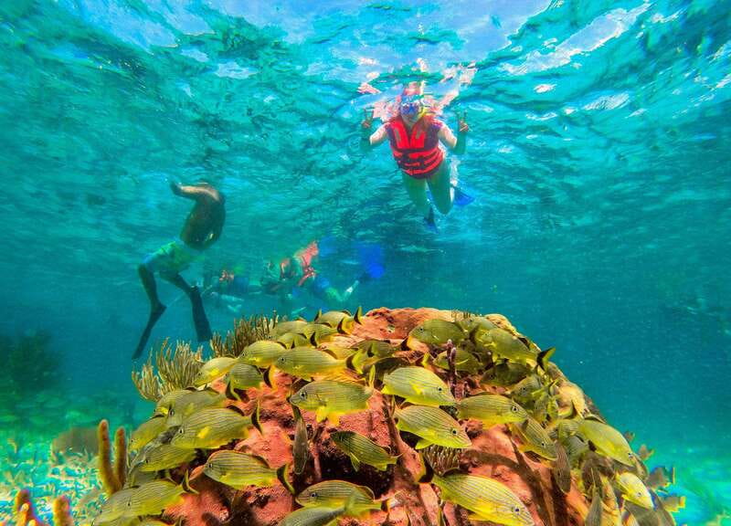 Puerto Morelos: Snorkel, Town Walk, Tequila & Beach Lunch - The Safety Briefing and Guide Style: Why People Feel Comfortable