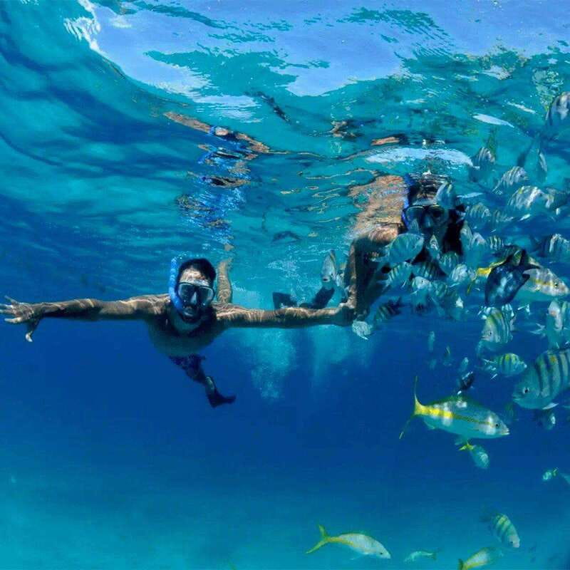 Puerto Morelos: Snorkeling at The National Reef Park - Puerto Morelos Reefs National Park, what makes it special