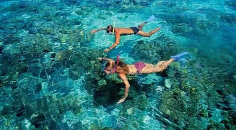 Puerto Morelos: Snorkeling at The National Reef Park - Price and value at $37, what you’re really paying for