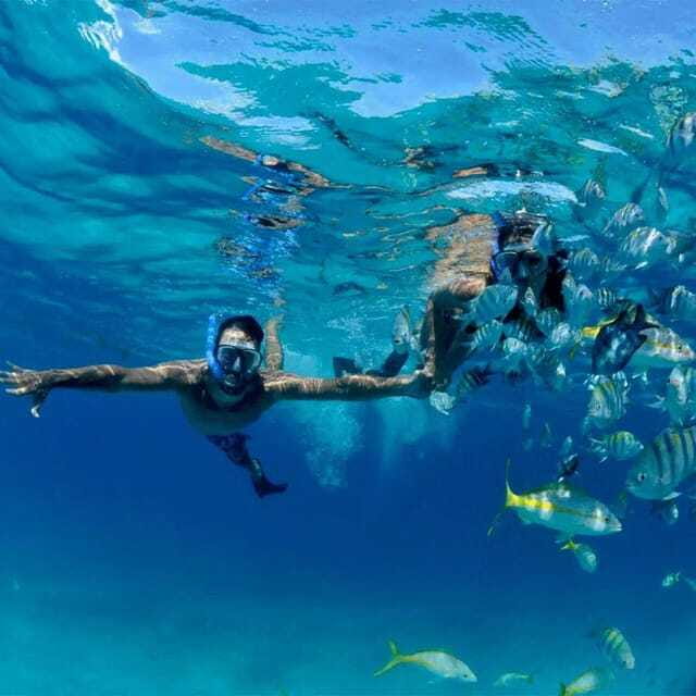 Puerto Morelos: Snorkeling at The National Reef Park - What to bring, and the sunscreen rule you must not ignore