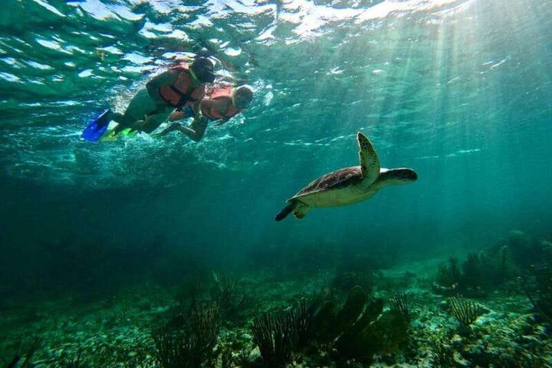 Puerto Morelos: Snorkeling Guided Activity - Why Puerto Morelos National Park Feels So Alive Underwater