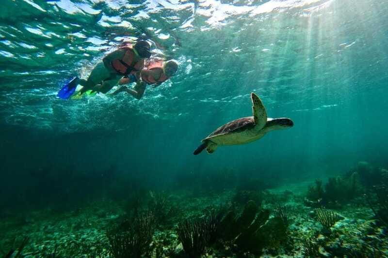 Puerto Morelos: Snorkeling Guided Activity - Who This Snorkeling Tour Fits Best