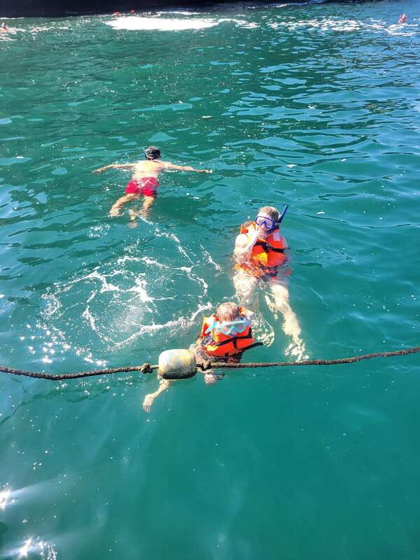 Puerto Vallarta: 3-Hour Whale Watching and Snorkeling - The 3-Hour Plan, and What Changes When You’re on a Boat
