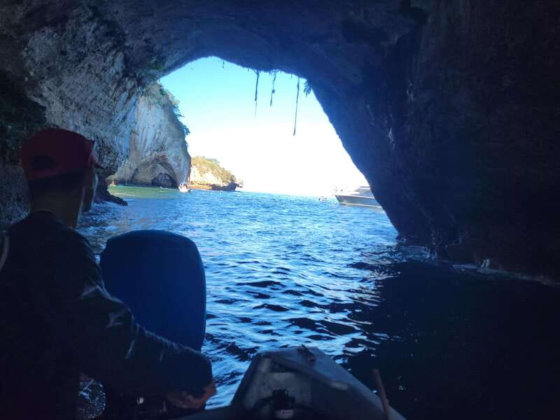 Puerto Vallarta: 3-Hour Whale Watching and Snorkeling - Boarding and Mobility: Wheelchair Accessible, With One Big Caveat