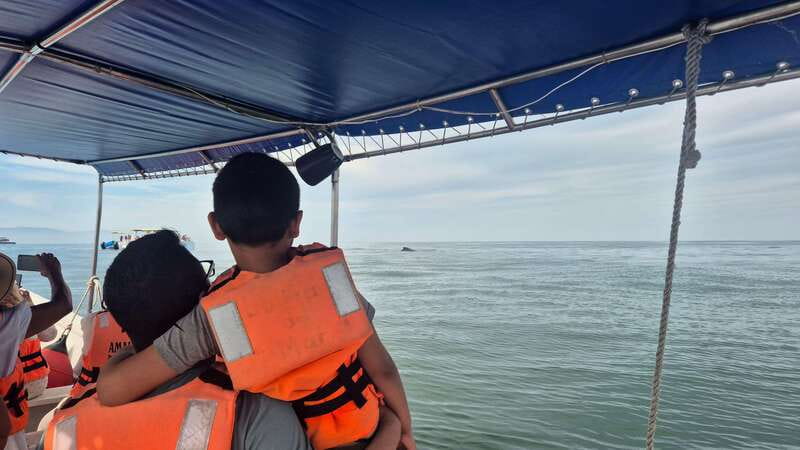 Puerto Vallarta: 3-Hour Whale Watching and Snorkeling - Who This Tour Fits Best (and Who Should Pick Another Option)