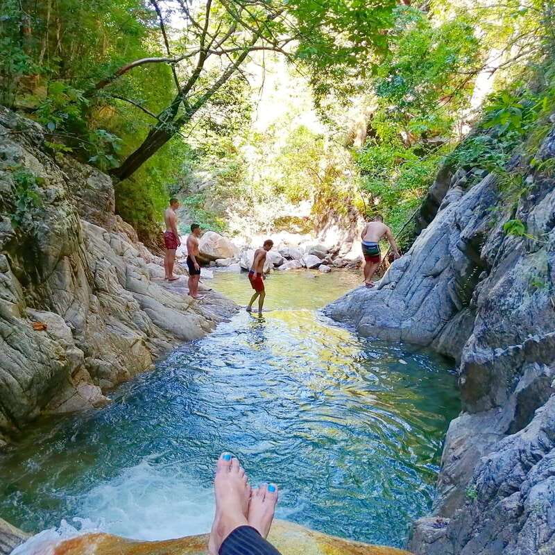 Puerto Vallarta: 4-Hour Jungle Hike and Waterfall Swim - The Trail Basics: Rough Path, River Crossings, and Jungle Life