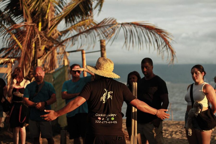 Puerto Vallarta: Baby Turtle Release in Conservation Area - Sea Turtle Conservation in Puerto Vallarta That Feels Like Purpose
