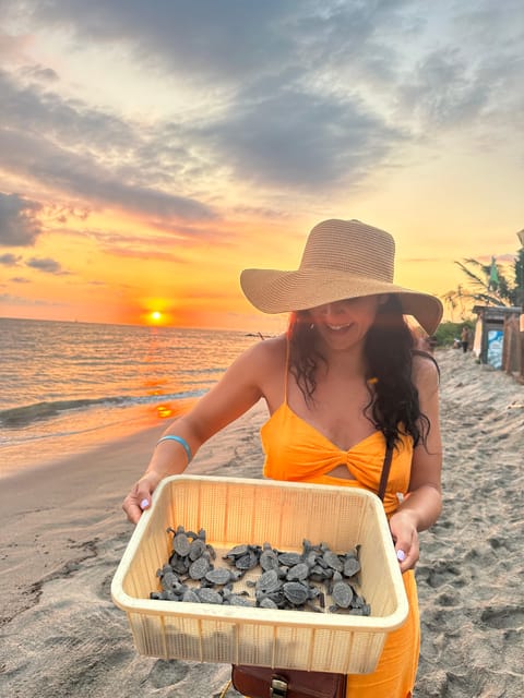 Puerto Vallarta: Baby Turtle Release in Conservation Area - What’s Included, and What You Should Expect on the Photo Side