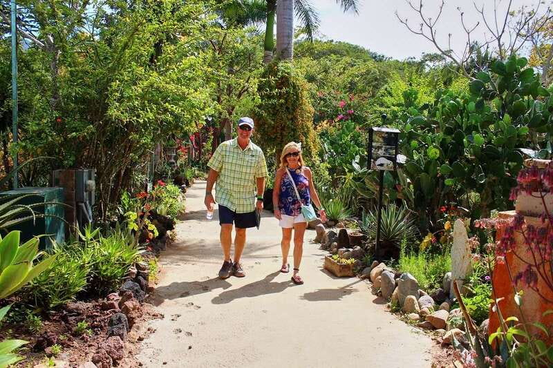Puerto Vallarta: Botanical Gardens, Distillery & Coffee Tour - Organic coffee factory visit, what you’ll get and what might disappoint