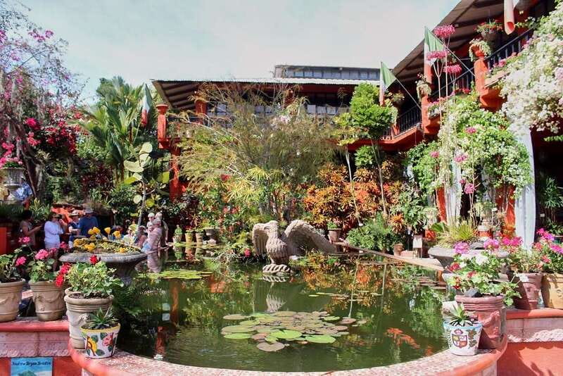 Puerto Vallarta: Botanical Gardens, Distillery & Coffee Tour - Orchids and the Holstein House of Orchids and Vanilla