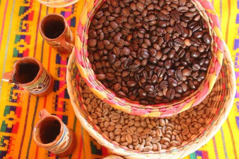 Puerto Vallarta: City Tour, Tequila and Coffee Factory Tour - Who this tour is best for, and who should consider something else