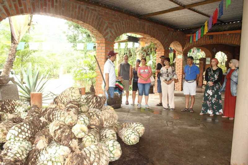 Puerto Vallarta: City Tour, Tequila and Coffee Factory Tour - The Malecon stroll and panoramic viewpoints that set the tone
