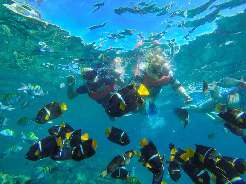Puerto Vallarta: Luxury Day Sailing Tour of Bay of Banderas - Your 6-Hour Game Plan, from Check-In to Drop-Off