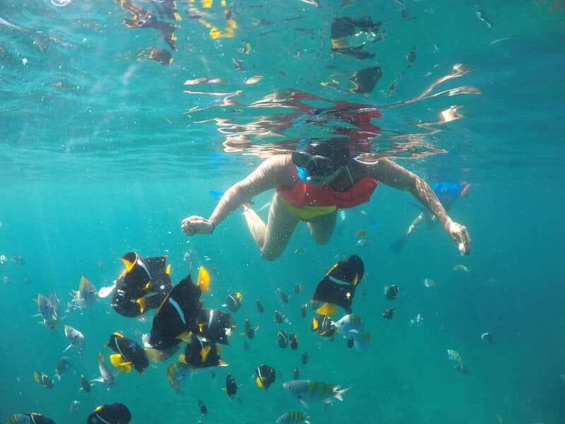 Puerto Vallarta: Luxury Yacht Tour with Lunch and Open Bar - Bay of Banderas Views on the Way Out