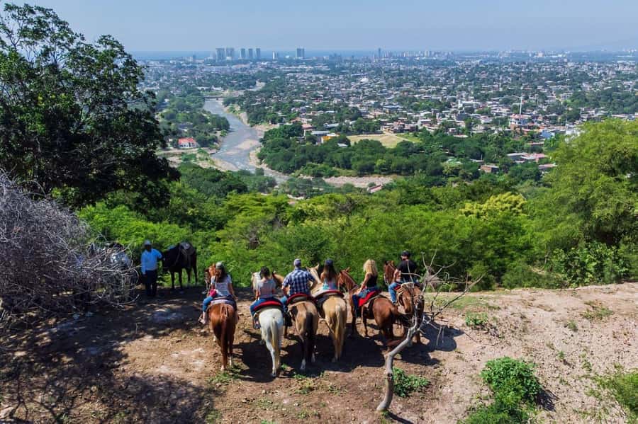 Puerto Vallarta: Tropical Forest Horseback Ride - Why horseback riding fits Puerto Vallarta’s jungle country so well