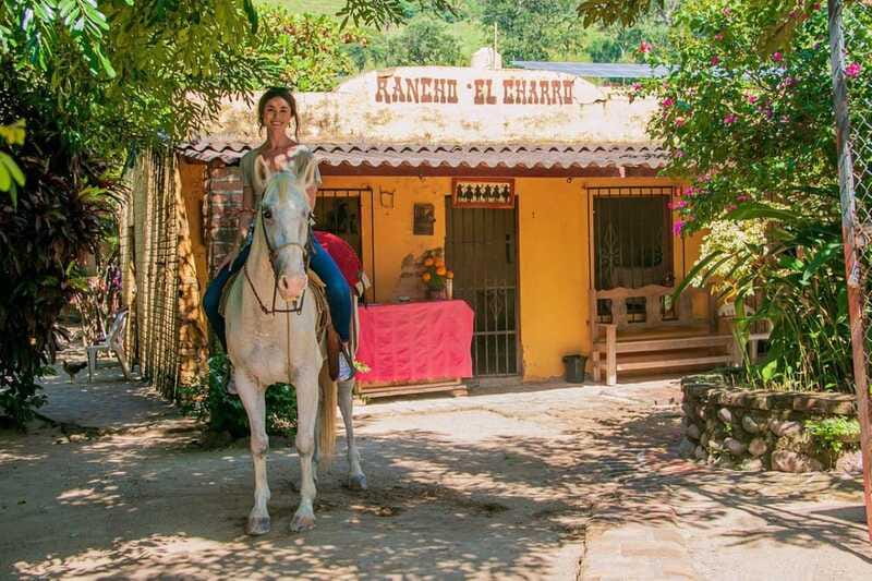 Puerto Vallarta: Tropical Forest Horseback Ride - The jungle trail: towering trees, streams, and rolling hills