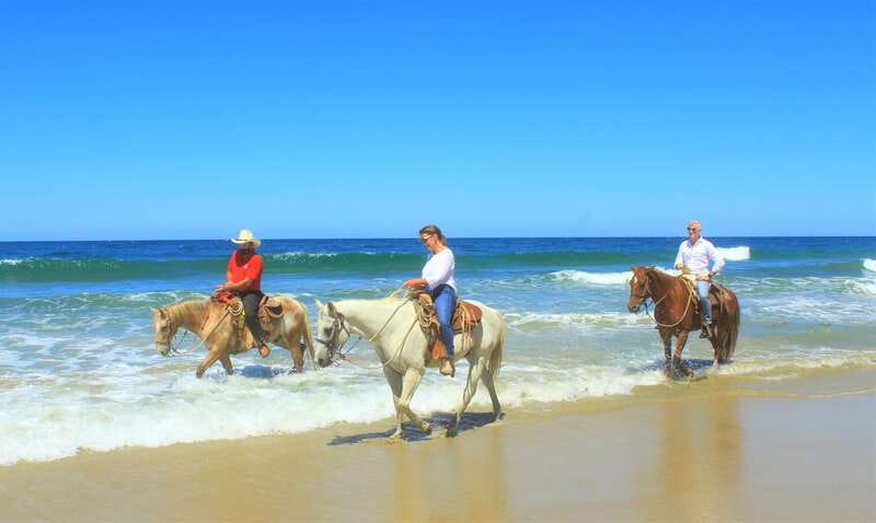 Punta de Mita/Sayulita: Horseback Riding Tour - Price and Value, What You Get for $103