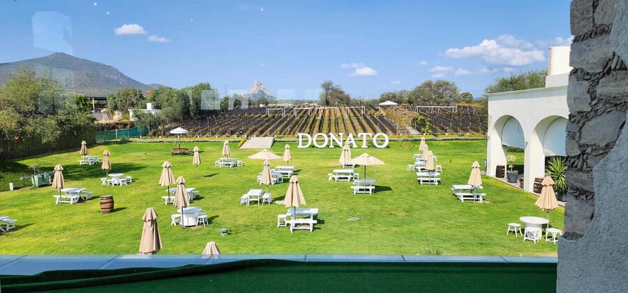 Querétaro: Bernal & Tequisquiapan Trip with Wine & Cheese - Small details that help the day run smoothly