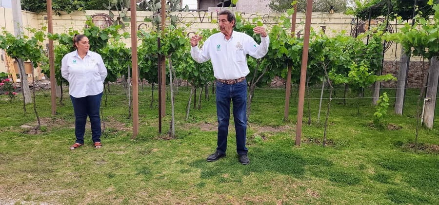 Querétaro: Bernal & Tequisquiapan Trip with Wine & Cheese - What to watch for: pace, wine preferences, and who the tour fits