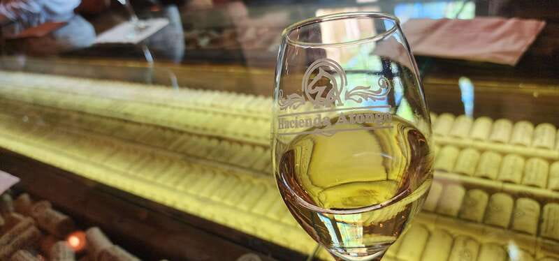 Querétaro: Haciendas, Vineyards, and Magical Towns Day Trip - Vinos del Marqués: wine tasting plus cheese, with vineyard walking