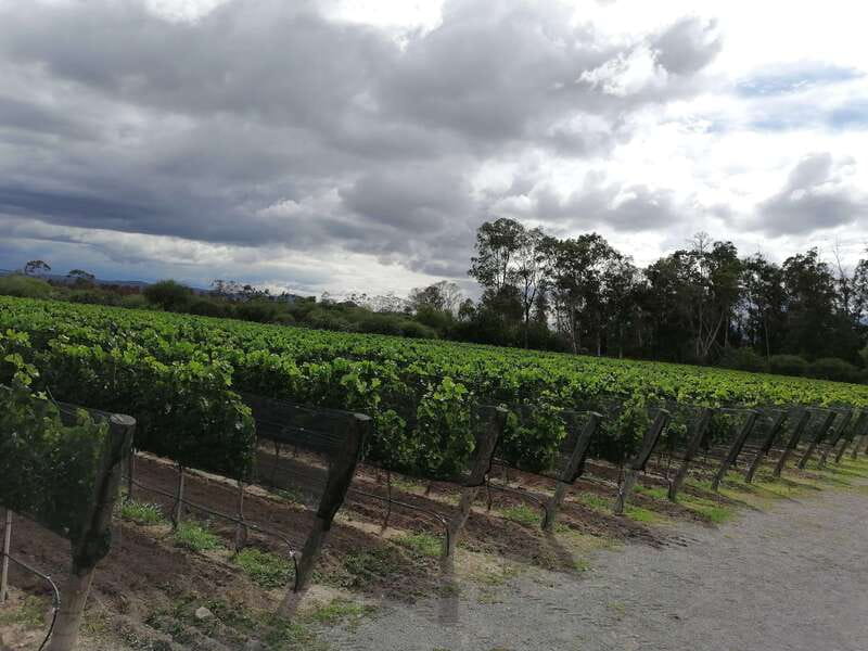 Querétaro: Haciendas, Vineyards, and Magical Towns Day Trip - What I’d do before you go: small prep that saves stress