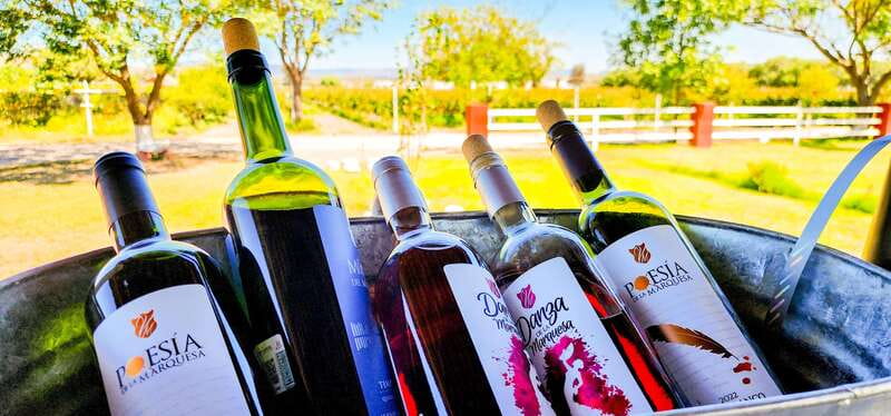 Querétaro: Haciendas, Vineyards, and Magical Towns Day Trip - Who this tour is best for