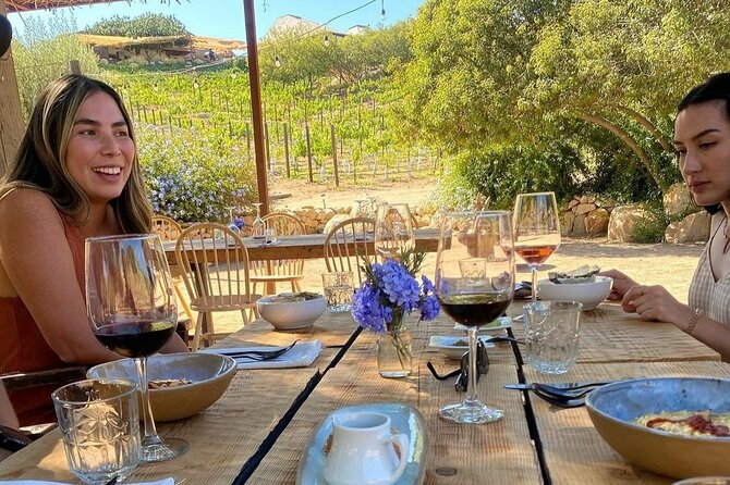 Quiero mas vino, valle de Guadalupe Tours - Why this Valle de Guadalupe tour works so well