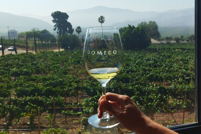 Quiero mas vino, valle de Guadalupe Tours - The route in plain English: 4 stops in a smart order