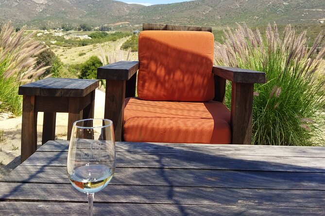 Quiero mas vino, valle de Guadalupe Tours - Stop 1: Bodegas Magoni, a guided winery intro