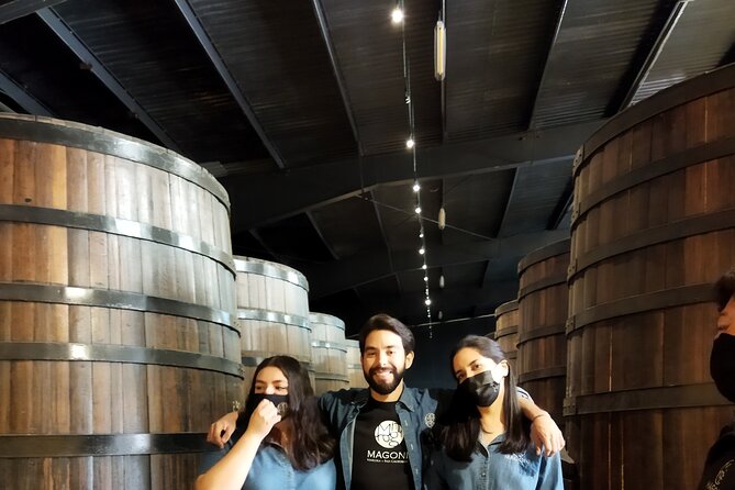 Quiero mas vino, valle de Guadalupe Tours - Stop 4: Casta de Vinos underground cellar and guided tasting