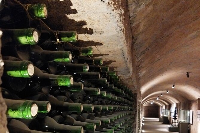 Quiero mas vino, valle de Guadalupe Tours - How long is the day, and when it actually runs?