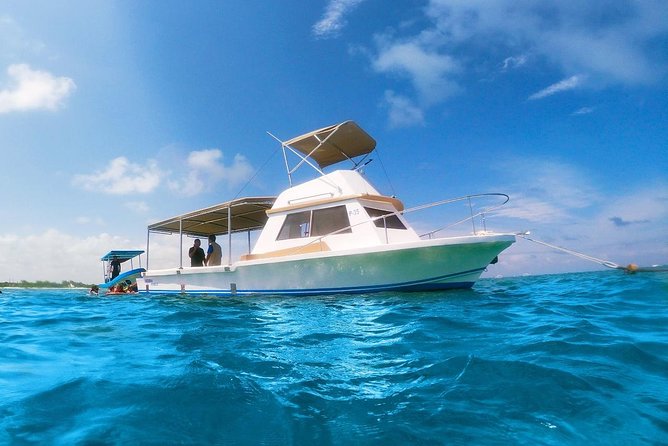 Reef Snorkeling in National Park from Cancun with Beachside Lunch - Gear, photos, and the new snorkel tube detail