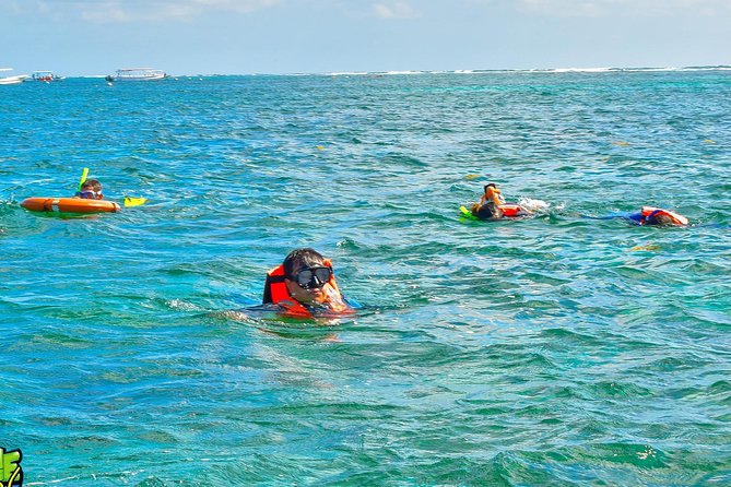 Reef Snorkeling in National Park from Cancun with Beachside Lunch - Price and value: what $44 covers, and what you should budget for