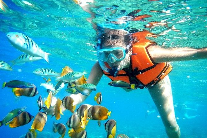 Reef Snorkeling in National Park from Cancun with Beachside Lunch - Safety and reef rules: where this tour is strict for a reason