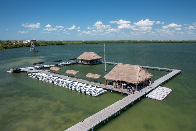 Reef Snorkeling & Jungle Speedboat Adventure with Mayan Ceremony - Nichupte Lagoon mangroves: the eco lesson before the throttle