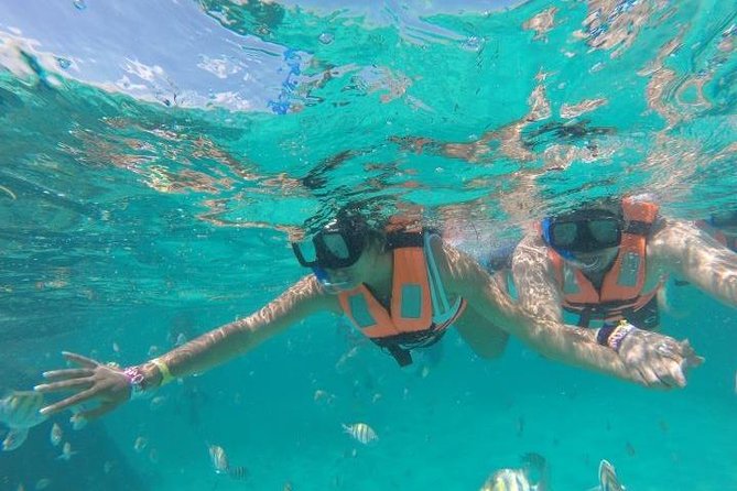 Reef Snorkeling & Jungle Speedboat Adventure with Mayan Ceremony - Price and value: the $59 base plus the fees you should expect