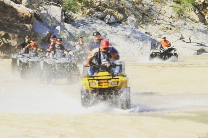 Ride through Bajas wild beauty—from desert trails to ocean views. - Key highlights at a glance
