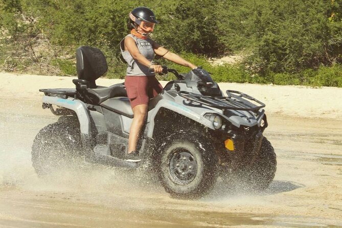 Ride through Bajas wild beauty—from desert trails to ocean views. - Migriño (Km. 97): quiet village vibes and the important surf safety call