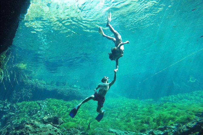 Ride to a life changing cenotes tour - Cenote 1: Cave-Style Swimming With a Jungle-Facing View