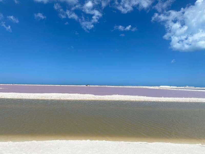 Rio Lagartos and Las Coloradas: EcoSafari Flamingo classic - Key highlights you should care about