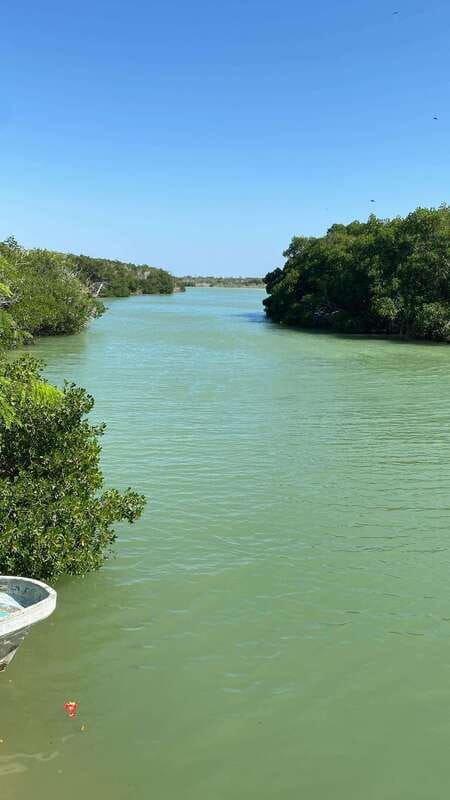 Rio Lagartos and Las Coloradas: Safari Flamingo Luxury - Key takeaways before you go